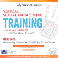 Sexual Harassment Training (virtual) - FINAL 2020 DATE