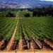 Wine Academy at Shade Hotel