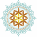 FREE Community Vinyasa Flow Yoga