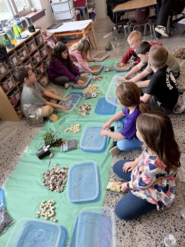 Elementary School Garden Program