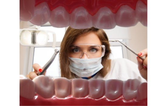 Dentists & Orthodontists