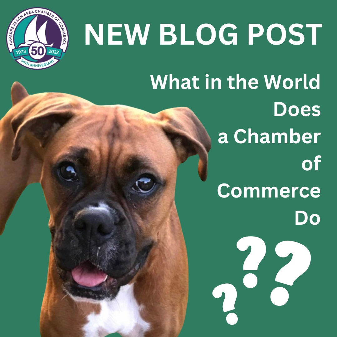 Image for What in the World Does a Chamber of Commerce Do?