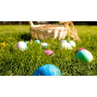Easter Egg Hunt at The Point