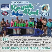 Clear Bottom Kayak Tours of Navarre Beach Reefs