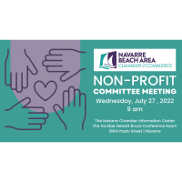 Non-Profit Committee Meeting