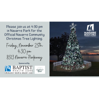 Official Community Christmas Tree Lighting in Navarre Park
