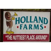 Holland Farms Pumpkin Patch & Maze