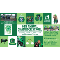 6th Annual Shamrock Stroll 5K Fun Run/Walk/Pet Parade/Costume Contest - Presented by: Santa Rosa County 4-H