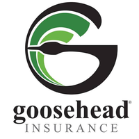 Goosehead Insurance - Michelle Johnson