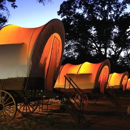 Gallery Image Splash_RV_Resort_Wagons(2).jpg