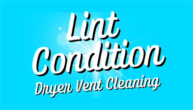 Lint Condition Dryer Vent Cleaning
