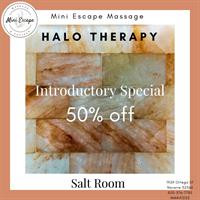 Mini Escape Massage, LLC - Navarre