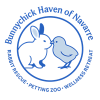 Bunnychick Haven of Navarre