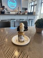 August 2nd is Ice Cream Sandwich Day @ Whitecaps Sweets & Treats