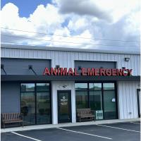 Emergency Veterinary Clinic of Niceville Celebrates 30 Years