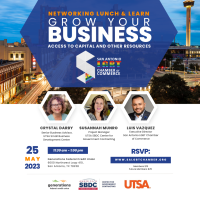 Lunch & Learn - Grow Your Business: Access Capital and Other Resources