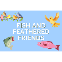 Fish and Feathered Friends