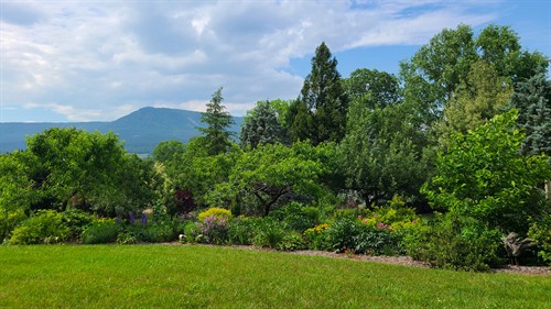 Gallery Image Picturesque_vistas.jpg