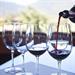 TOP RATED WINES OF  THE WORLD DINNER