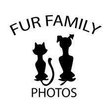 Fur Family Photos