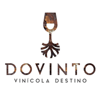 DOVINTO INTERNATIONAL LLC