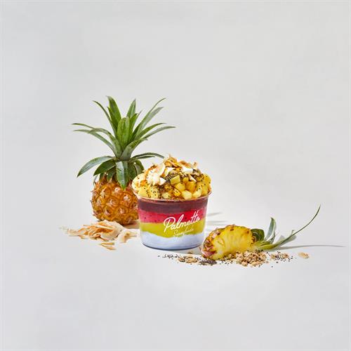 Gallery Image Styled_Palm_Palmetto_x_ERIN_NG.jpg Gallery Image Styled_Palm_Palmetto_x_ERIN_NG.jpg