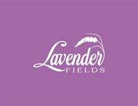 Lavender Fields