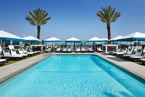 Rooftop Pool Rooftop Pool