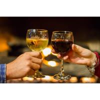 ACE Adventure Resort:  Wine Pairing Dinner