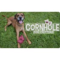 New River Animal Rescue Cornhole Tournament 