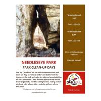 Needleseye Park Clean-Up