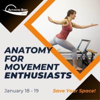 Anatomy for Movement Enthusiasts