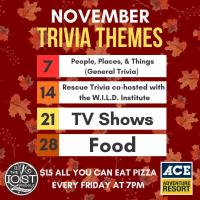 Trivia Nights @ The Lost Paddle