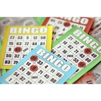 Bingo Night @ The Lost Paddle