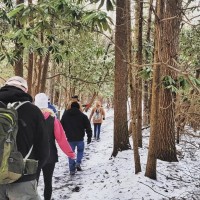 Beginner Friendly Brooklyn Mine Hike