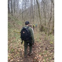 Glade Creek Trail Wildflower Hike