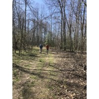 Brush Creek Falls Hike