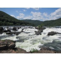 Sandstone Falls Bird Focused Hike
