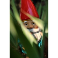 Gnomevember Gnome Scavenger Hunt