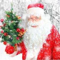 Christmas in Croton Township