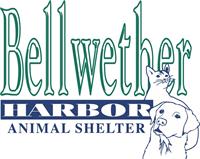 Bellwether Harbor Animal Shelter Fall Festival