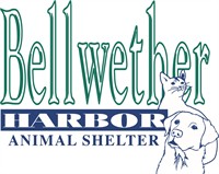 Bellwether Harbor's Craft and Vendor Market