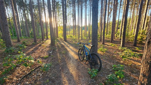 Gallery Image dragon_trail_2(1).jpg