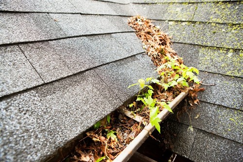Do you need your gutters cleaned?
