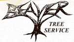 Beaver Tree Service, LLC