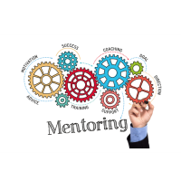 Learn about the Peer Mentoring Mastermind Program