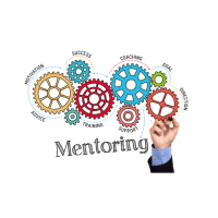 Peer Mentoring Mastermind Monthly Series