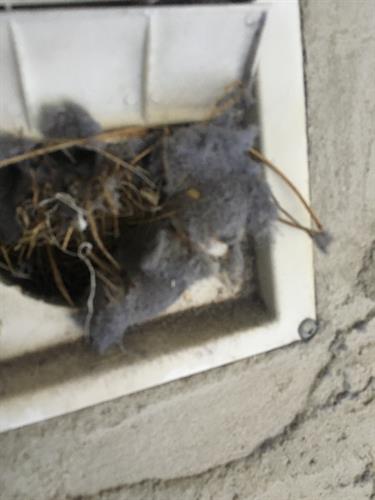 Dryer vents are a common fire-hazard. Cleaning your dryer vents reduces the fire hazard, reduces your electricity bill, clothes dry faster and your dryer will last much longer.