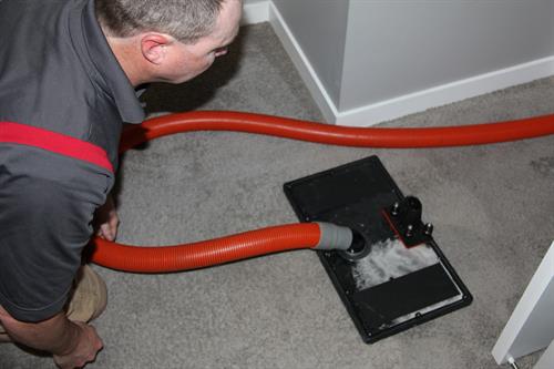 We have equipment that removes pet urine and other bacteria from deeper that the carpet itself, we can remove the impurities from as deep as the sub-floor itself. If you have a pet of more than 20lbs chances are that any accidents are going past the carpet and into the backing and sub-floor, which is impossible to remove with regular carpet cleaning techniques and equipment. We specialize in pet urine removal!