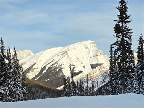 From Mountain Adventures Close To Home